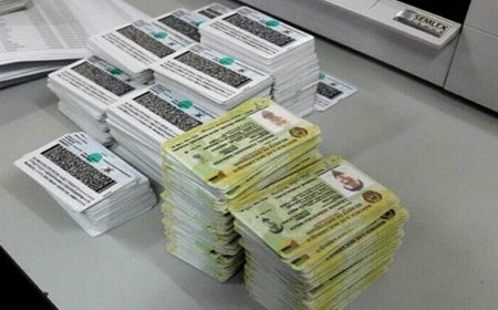 Governo aprova novo Regulamento do Bilhete de Identidade em Moçambique